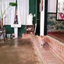 인수당한의원 이미지