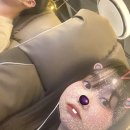 롯데리아신제주점 이미지