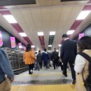 릴리성형외과의원 이미지