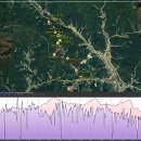 치악산둘레길 9코스 자작나무길 이미지