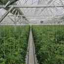 재섭농장 이미지