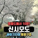 신시모도 후기 (벚꽃, 삼목항, 스쿠터 대여, 바이크 대여, 꿀팁)
