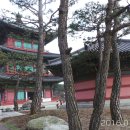 자라진천 이미지