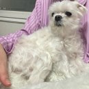 우주카센터 | 어떤 사랑은 우주를 가로지르기도 하는 걸요