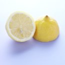 서초레몬 이미지