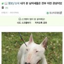 미방 뱀사진주의) 오늘 할머니집갓다가 요단강 건널뻔함 이미지