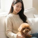 한일매트 이미지