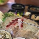 군자 머구리 | 군자역 횟집 모듬회 매운탕 머구리