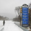 숲의동화 이미지