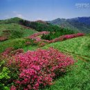 바래봉길 이미지