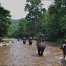 순효노인요양원 이미지