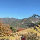 노르딕워킹 이미지