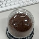 낭만고양이 판교점 | 1월 3주차 주간회의: 언젠가 꿈에 카메라를 챙기면