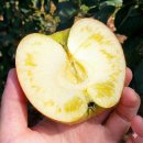 막창드라마 본점 이미지