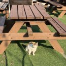 대천통나무리조트 이미지