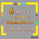 화명실내테니스
