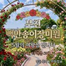 부천동 행정복지센터 | 🌹2026 부천 백만송이 장미축제 : 방문 전 팁 총정리...실시간 개화 상황ㅣ백만송이 장미원 방문 후기