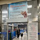 논골목장 1 | 동해 묵호항 여행 논골담길 카페, 회센터 수협 수산시장 가미수산 (가격, 주차)