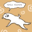 심우향 이미지