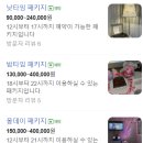 파티501 이미지
