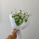 꽃해요 이미지