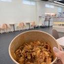 세경3차아파트 | 원주 애견동반카페 르브쑝, 댕댕이랑 쾌적한 실내에서 놀다 온 후기!