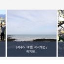 에스에이치투어주 이미지