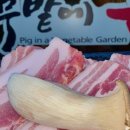 열무밭에 돈 이미지