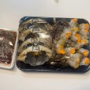 시도27호선 | 시장 꽃게회 맛집 | 봄 암꽃게 시즌, 가락시장 횟집, 가락시장바다나라 가는 방법, 후기, 집들이 요리 추천