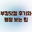 성실카써비스 | 부킹닷컴 후기와 평점 보는 팁