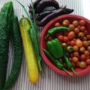 화실농장 이미지