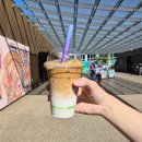 (주)브릿지존 | 호주&amp;뉴질랜드 여행 10일차 | 타롱가주, 마막, 패디스마켓, 하이드파크, 웨일브릿지