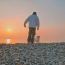 유진카 | 양양 물치항 캠핑카 차박지 추천 Ft. 유진게찜 포장 후기