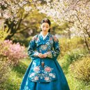 벚꽃 정원 속 청록 한복 이미지
