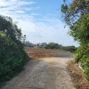 토지매매(함덕리) 이미지