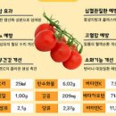 라이코펜 듬뿍 토마토 1개 칼로리 영양성분 토마토 당뇨 섭취 이미지