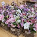 천안초등학교 병설유치원 이미지