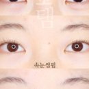 더보탬