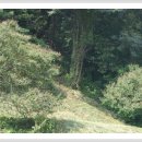 경남산소 이미지