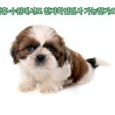 609 | 성남·시흥·수원 친자확인검사, 2026년엔 여기서!