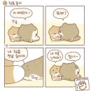 오늘만큼은 난 조금만 천천히 가려 했지만 널 본 순간
