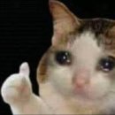 힙(HIP)호텔 | 판교역 헬스장 헬스보이짐 한달 차 (여성전용 힙머신 대만족 후기)