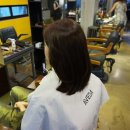 웰라미용실 네이버블로그