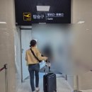 청주 제주 비행기 항공권 가격, 티웨이항공 TW877 좌석, 비행 시간, 제주공항 아베베 팝업