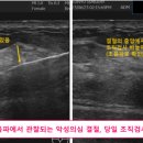 은유외과의원 이미지