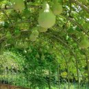 시민문화체육공원 산책로 이미지