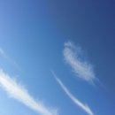 푸른하늘 이미지