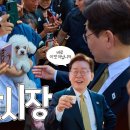 시장시장