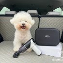 [아리오] 강력한 BLDC모터 &#39;차량용 무선 진공청소기 에어건&#39; 추천