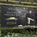 국수나무(내외점) | 제주공항 근처 점심 맛집 제주고기국수 모던돔베에서 식사하고 온 후기